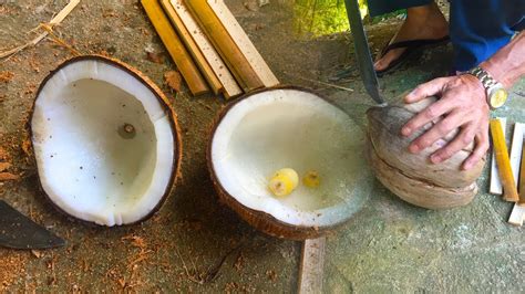 วิธีการเปิด มะพร้าว how to open coconuts without any tools အုန္းသီးခြဲနည္း youtube