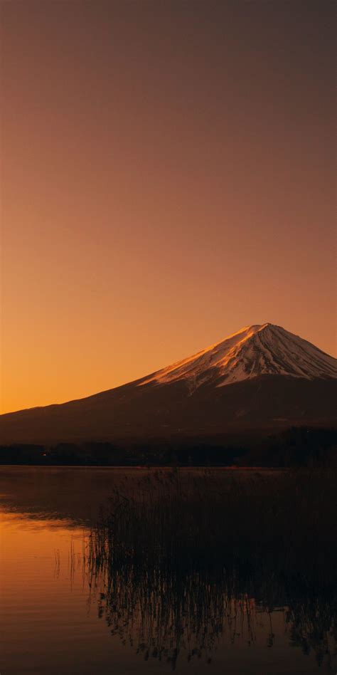 Download Wallpaper 1080x2160 Lake Kawaguchi Mount Fuji Mountain