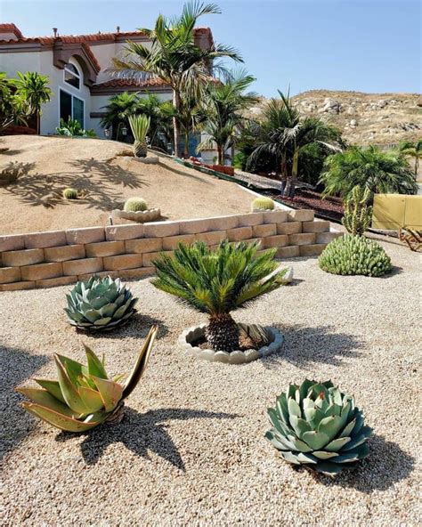 25 Xeriscape Ideas For Your Yard Trendey
