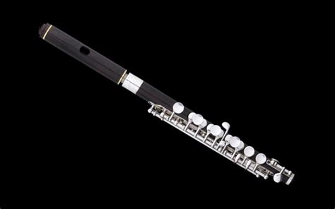 This article is about the instrument in the flute family. Piccolo | Philharmonia
