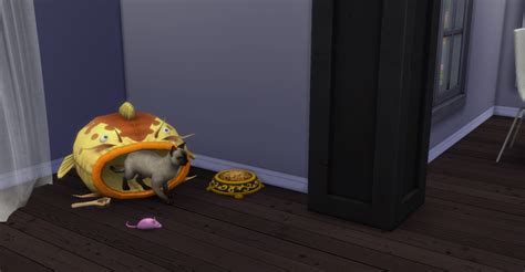 Sims 4 Ccs The Best Ts3 To Ts4 Cats And Dogs Accessories