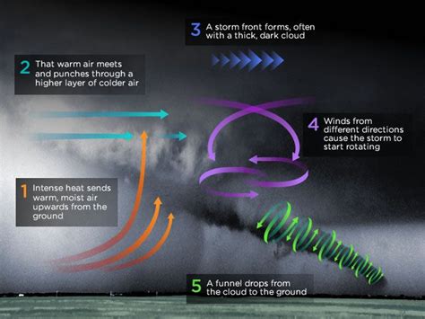 Anatomy Of A Tornado Weather Science Weather And Climate Weather
