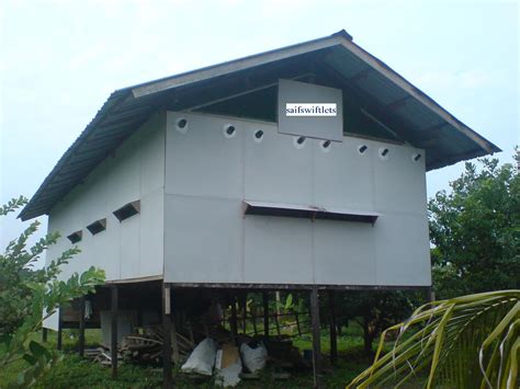-Saifswift-Bird's Nest-Toko Walet-: Rumah Walet di Mukah ...