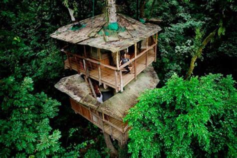 Finca Bellavista A Community Of Amazing Treetop Homes In Costa Rica