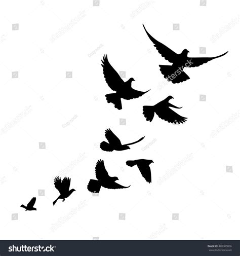 Flock Birds Pigeons Go Black Silhouette Stock Illustration Shutterstock