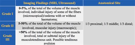 Muscle Strain Grades