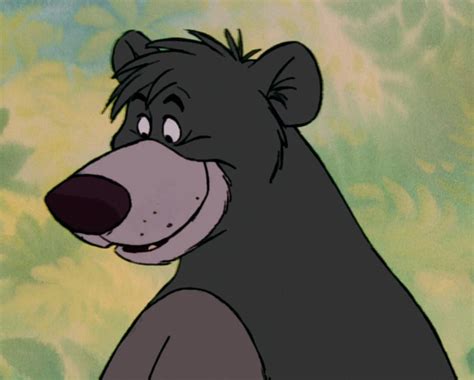 Oso Baloo Todo Lo Que Aún No Sabes Sobre Este Personaje