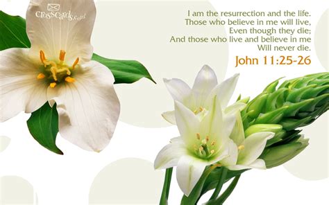 John 1125 26 Bible Verses And Scripture Wallpaper For Phone Or Computer