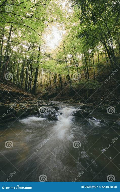 Forest River Stock Image Image Of Whirling Mountain 90362937
