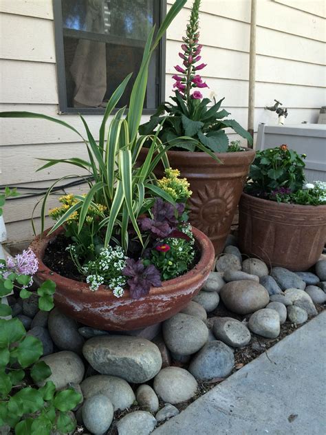 Containers And Color Rock Garden Landscaping Landscaping With Rocks