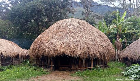 20 Gambar Rumah Adat Orang Papua Yang Cantik