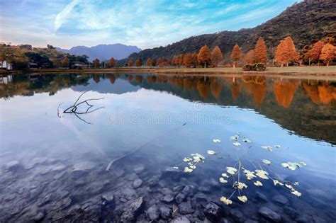 Peaceful Landscape View Of Clear Blue Lake And Autumn Trees Stock Photo