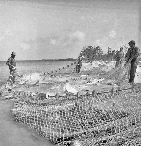 Florida Memory Commercial Fishermen Pulling In Their Beach Seine Net