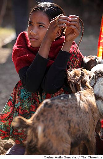 Saving The Indentured Kamlari Girls In Nepal Pulitzer Center