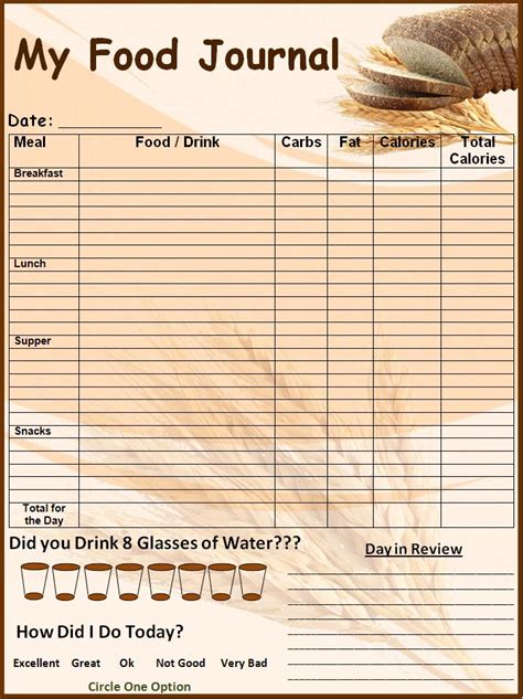 Division of nutrition, physical activity, and obesity, national center for chronic disease prevention and health promotion subject: Food log template Printable In excel Format