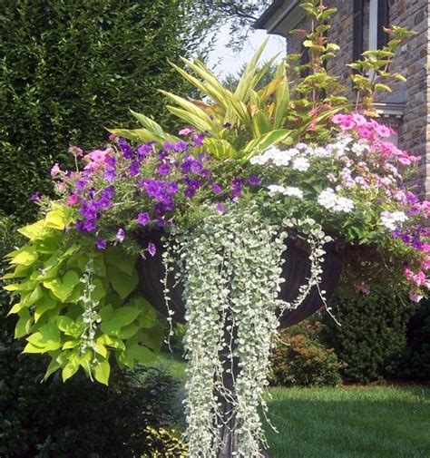 Containers With Pizazz Not Your Ordinary Container Plants