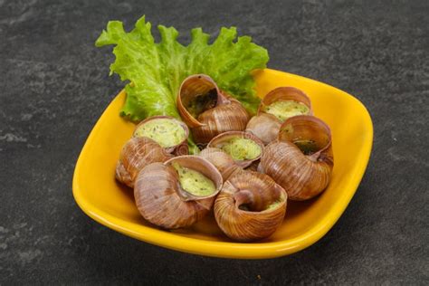French Cuisine Escargot With Sauce Stock Image Image Of Food