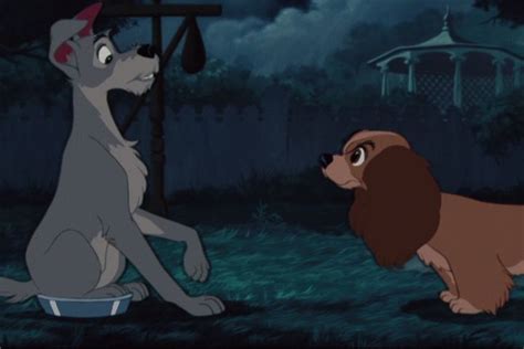 Lady & the tramp puppy love m/. Did you expect Lady and Tramp to have puppies? Poll Results - Disney's Lady and the Tramp - Fanpop