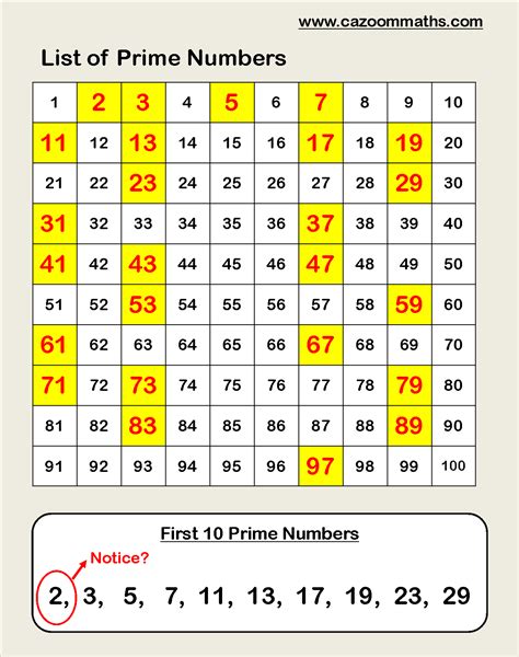 Prime Numbers Infographic