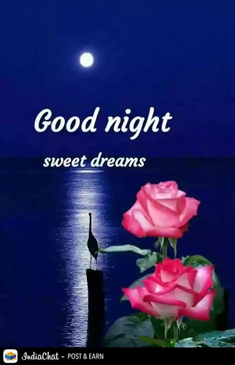 Good Night Love Sms Good Night Hindi Quotes Good Morning Sunday
