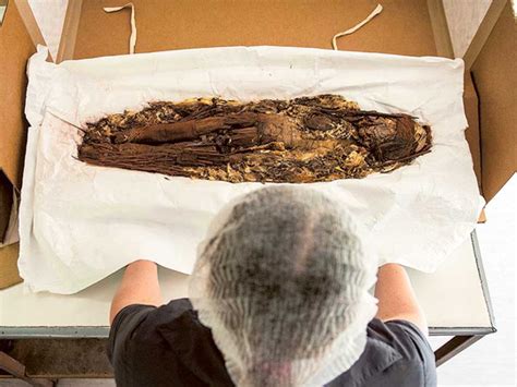 Scans Unveil Secrets Of Worlds Oldest Mummies Science Gulf News