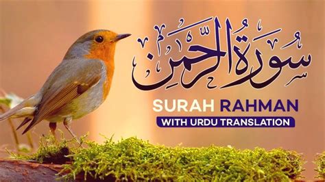Surah Rahman Urdu Tarjuma Ke Sath Epi 000150 Surah Rahman With Urdu