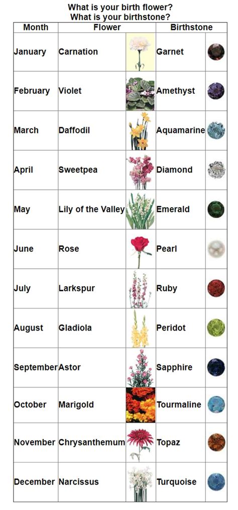 From the january birth flower (the carnation) to the december birth flower (the daffodil), learn about your birth month flower and the meaning behind it! What's Your Birthstone and Birth Flower