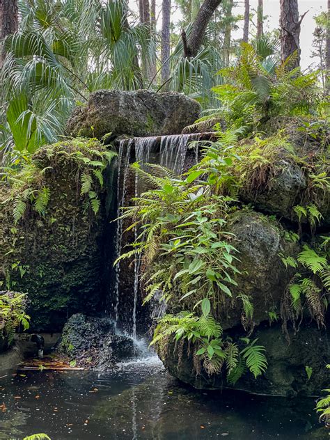 Waterfall Rocks Free Stock Cc0 Photo