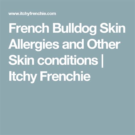 French Bulldog Skin Allergies And Other Skin Conditions Itchy