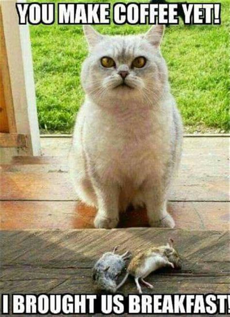 Funny Animal Picture Dump Of The Day 22 Pics