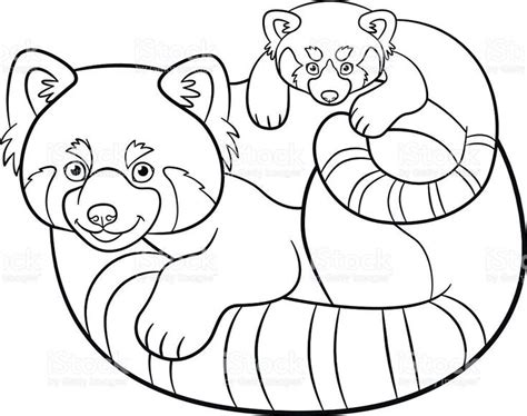 Red Panda Coloring 3 #3523 | Panda coloring pages, Cool coloring pages