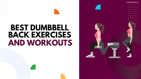 15 Dumbbell Back Exercises And Workouts Working For Health