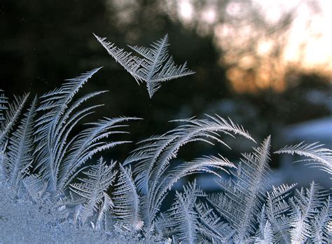 Ice Crystal Ocean Photoholic1 Flickr