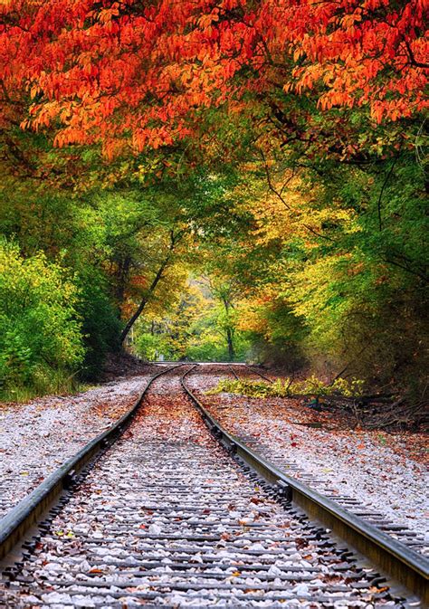 Fall Track Is A Photograph By Brian Hollars This Is A Fall Image Along