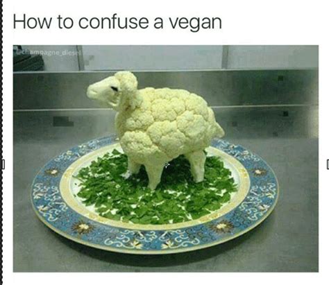 34 Vegan Memes That Are Way More Fun Than Trying To Get Into Kale