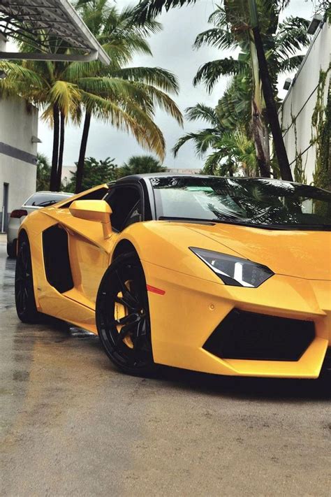 The 10 Most Expensive Lamborghini Cars In The World Alfaromeo Mobil