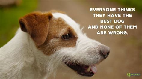 Check spelling or type a new query. 20 Dog Quotes For People Who Love Dogs