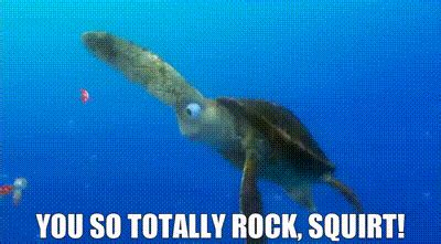 Yarn You So Totally Rock Squirt Finding Nemo Video Gifs By