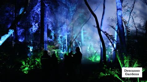 Enchanted Forest Of Light Returns In November Youtube