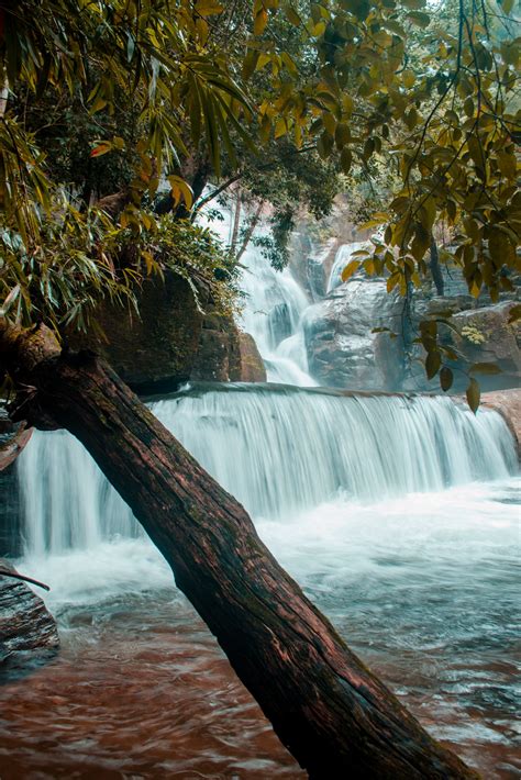 Vazhvanthol Waterfall Pixahive