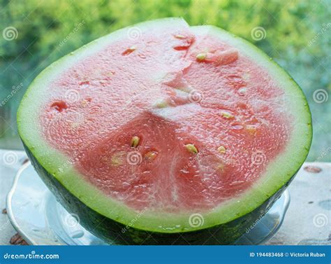 Half Of Unripe Watermelon With White Seeds Stock Photo Image Of