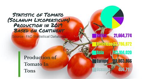 Top 10 Worlds Biggest Tomato Producing Countries The Science Agriculture