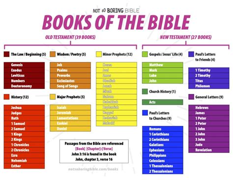 Books In The Bible Not So Boring Bible