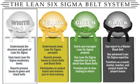Provides Lean Six Sigma Green Belt Training And Certification