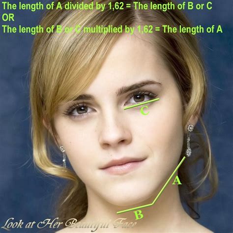 Look At Her Beautiful Face The Golden Ratio On Womans Beautiful Face
