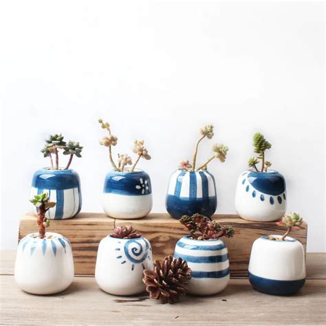 Buy Set Of 8 Original Design Mini Ceramic Succulent