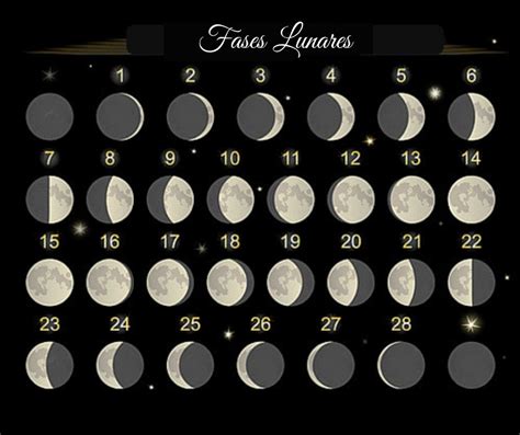 Lua Calendrio Lunar E Fases Da Lua T