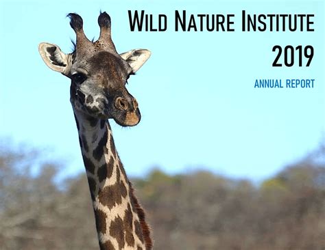 Wild Nature Institute Blog Wild Nature Institute