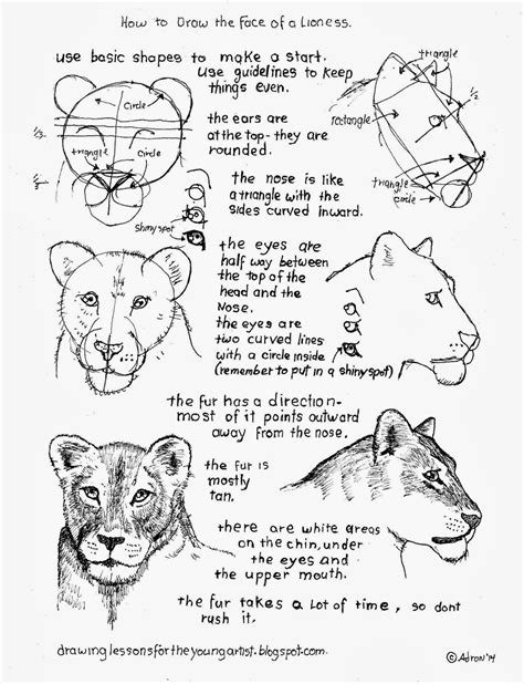 We did not find results for: drawing | Animal drawings, Easy drawings, Drawings