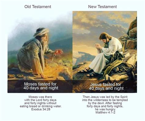 40 Days Fasting 40 Days And Nights New Testament 40 Day Fast